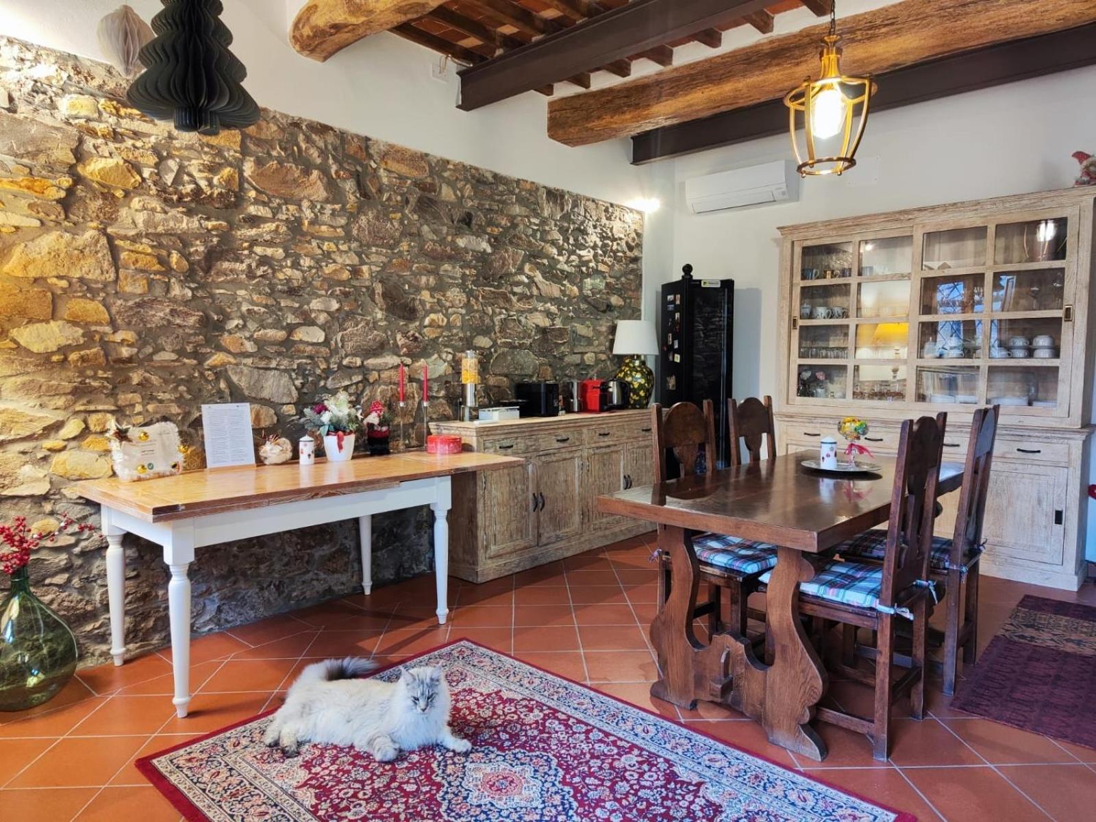 B&B Toringo Capannori Exterior photo
